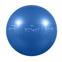 GoFit Proball 55cm Exercise Ball Blue