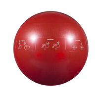 GoFit Proball 65cm Exercise Ball Red