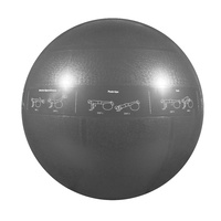 GoFit Proball 75cm Exercise Ball Silver