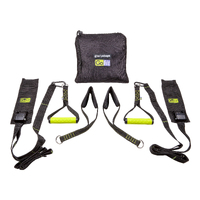 GoFit Gravity Straps