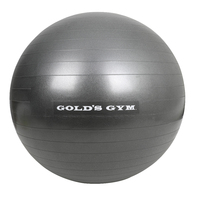 Gold's Gym 65cm Anti-Burst Exercise Ball 